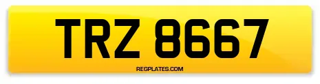 TRZ 8667