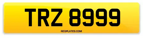 TRZ 8999
