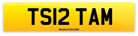 TS12 TAM