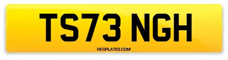 TS73 NGH