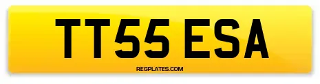 TT55 ESA