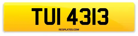 TUI 4313
