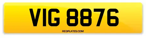 VIG 8876