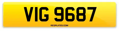 VIG 9687