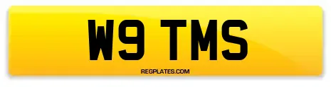 W9 TMS