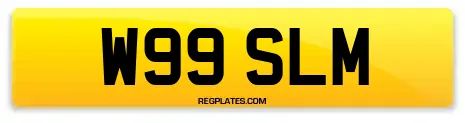 W99 SLM