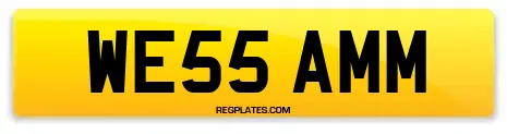 WE55 AMM