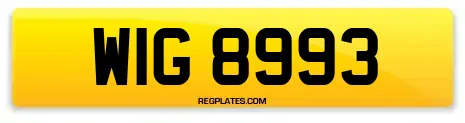 WIG 8993