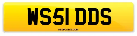 WS51 DDS