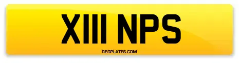 X111 NPS