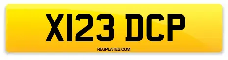 X123 DCP
