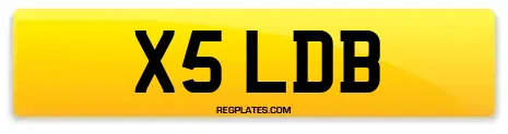 X5 LDB