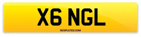 X6 NGL