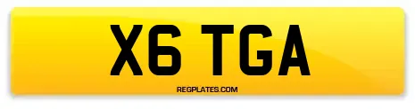 X6 TGA