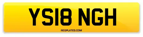 YS18 NGH